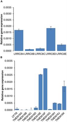 Comparative Effects of Chloride Channel Inhibitors on LRRC8/VRAC-Mediated Chloride Conductance